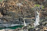 IMG_5244 Wadi Dirhur, Socotra